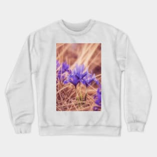 Small Iris Crewneck Sweatshirt